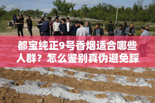 都宝纯正9号香烟适合哪些人群？怎么鉴别真伪避免踩坑？