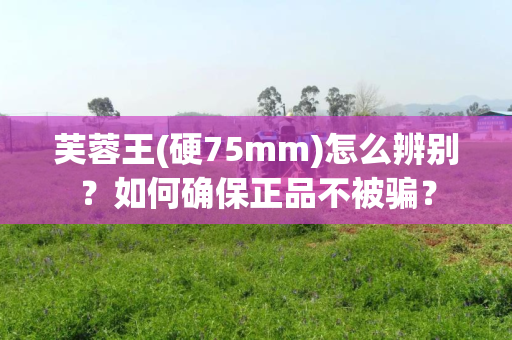 芙蓉王(硬75mm)怎么辨别？如何确保正品不被骗？